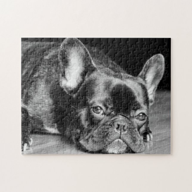 Französische Bulldogge Puzzle (Horizontal)