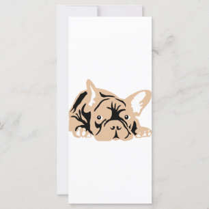 Französische Bulldogge rose