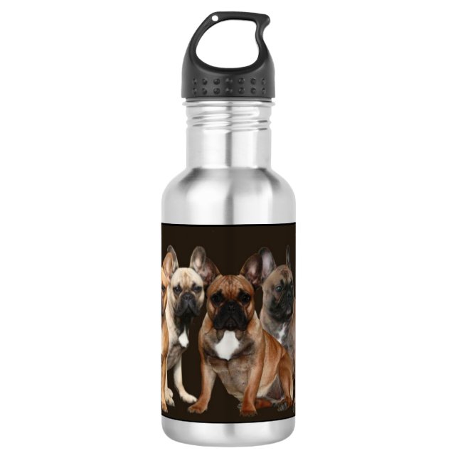französische Bulldogge Rudel French Bulldog  Edelstahlflasche (Vorderseite)