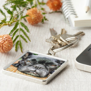 Französische Bulldogge Schlüsselanhänger