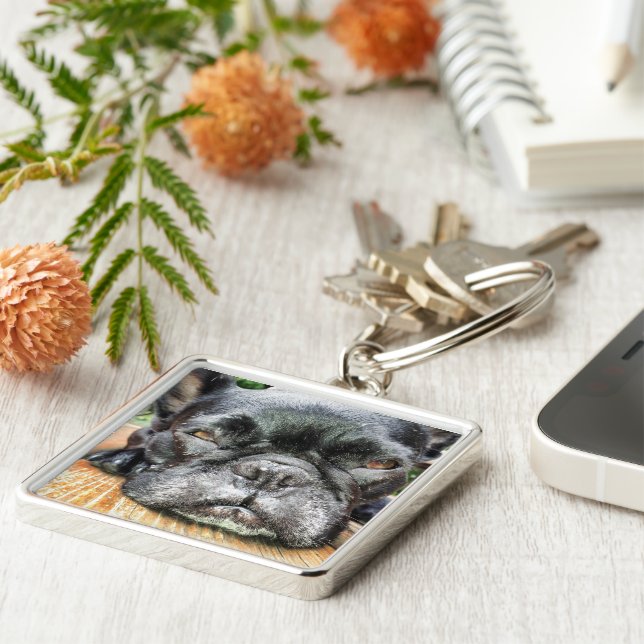 Französische Bulldogge Schlüsselanhänger (Seite)