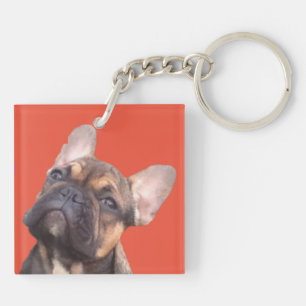 Französische Bulldogge Schlüsselanhänger