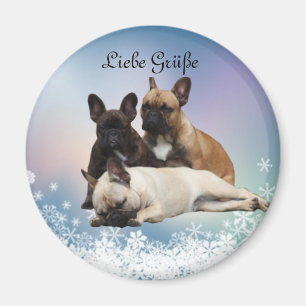 Französische Bulldogge Schnee French Bulldog Magnet