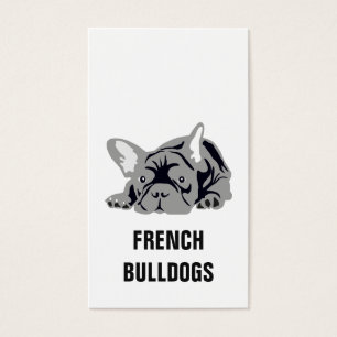Französische Bulldogge Schwarz