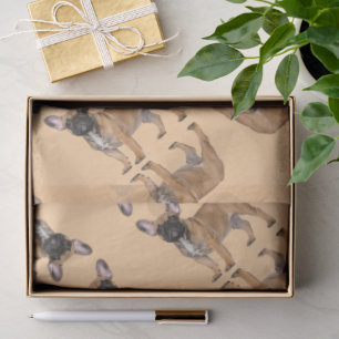 Französische Bulldogge  Seidenpapier