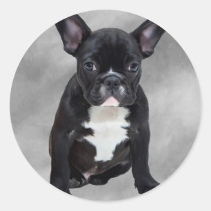 Französische Bulldogge sitzt Wasserfarbe Ölmalerei Runder Aufkleber