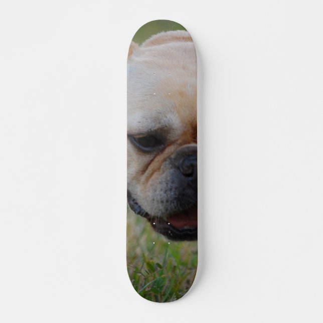 Französische Bulldogge Skateboard (Vorne)