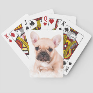 Französische Bulldogge Spielkarten