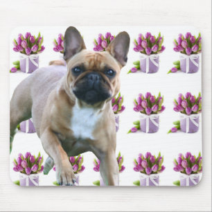 Französische Bulldogge Sprung French Bulldog Mousepad