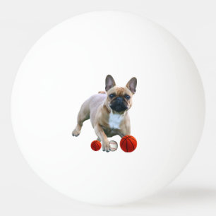 Französische Bulldogge Sprung French Bulldog Tischtennisball