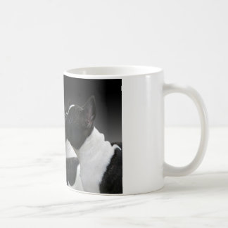 französische Bulldogge Tasse