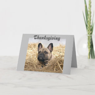 Französische Bulldogge Thanksgiving French Bulldog Einladung