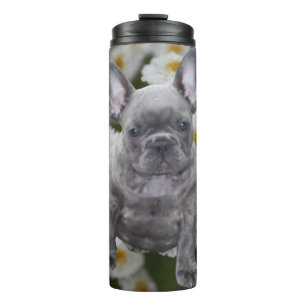 Französische Bulldogge Thermosbecher