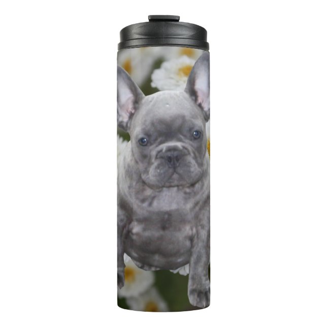 Französische Bulldogge  Thermosbecher (Vorderseite)