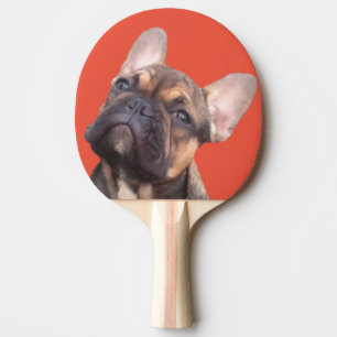 Französische Bulldogge Tischtennis Schläger