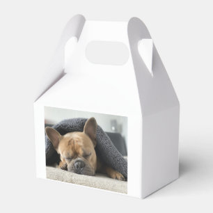 Französische Bulldogge unter der Decke Geschenkschachtel