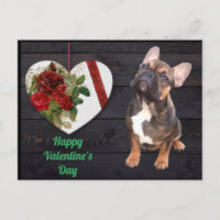 Französische Bulldogge Valentinstag French Bulldog