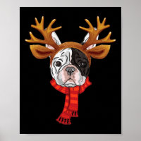 Französische Bulldogge Weihnachten Rentiere Geweih