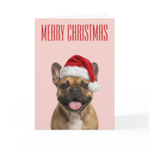 Französische Bulldogge Weihnachtsfreude