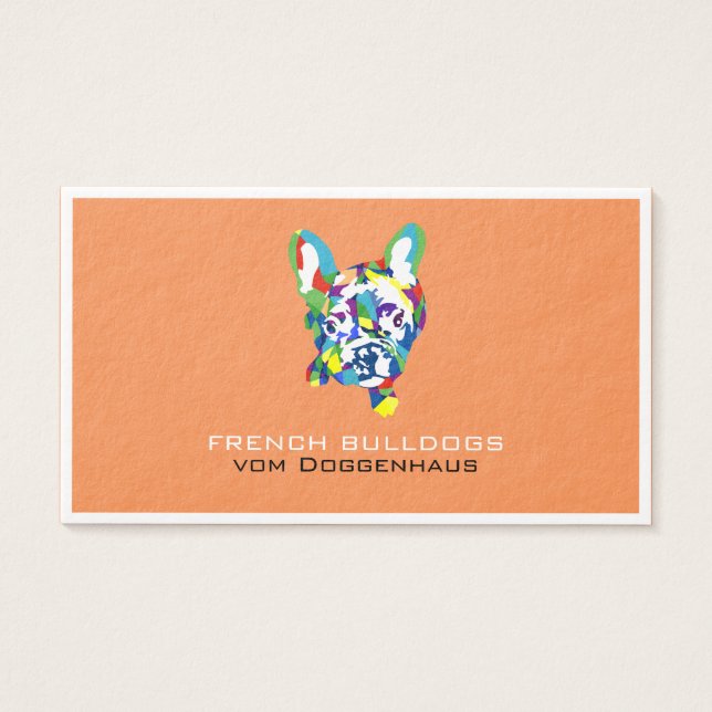 Französische Bulldogge Welpe (Vorderseite)