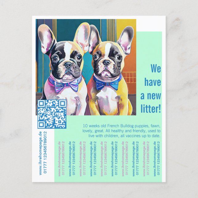 Französische Bulldogge Welpe  Flyer (Vorne)