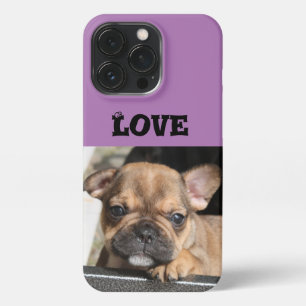 Französische Bulldogge Welpe French Bulldog iPhone 13 Pro Hülle