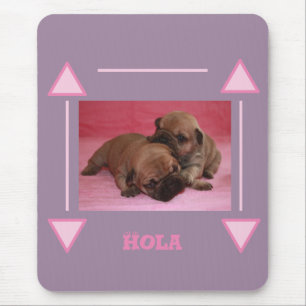 Französische Bulldogge Welpe French Bulldog Mousepad