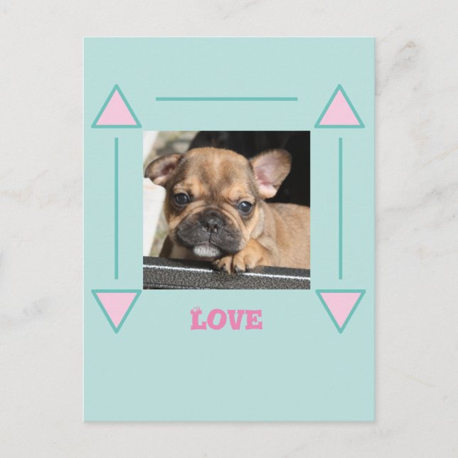 Französische Bulldogge Welpe French Bulldog Postkarte (Vorderseite)