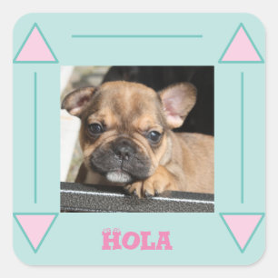 Französische Bulldogge Welpe French Bulldog Quadratischer Aufkleber