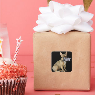 Französische Bulldogge Welpe French Bulldog Quadratischer Aufkleber