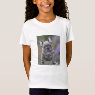 Französische Bulldogge Welpe French Bulldog T-Shirt