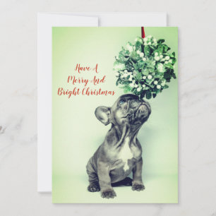 Französische Bulldogge Welpe Mistelzweig Frohe Wei Feiertagskarte