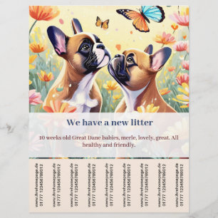 Französische Bulldogge Welpe zu verkaufen Flyer