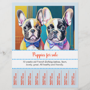 Französische Bulldogge-Welpe zum Abreißen Flyer