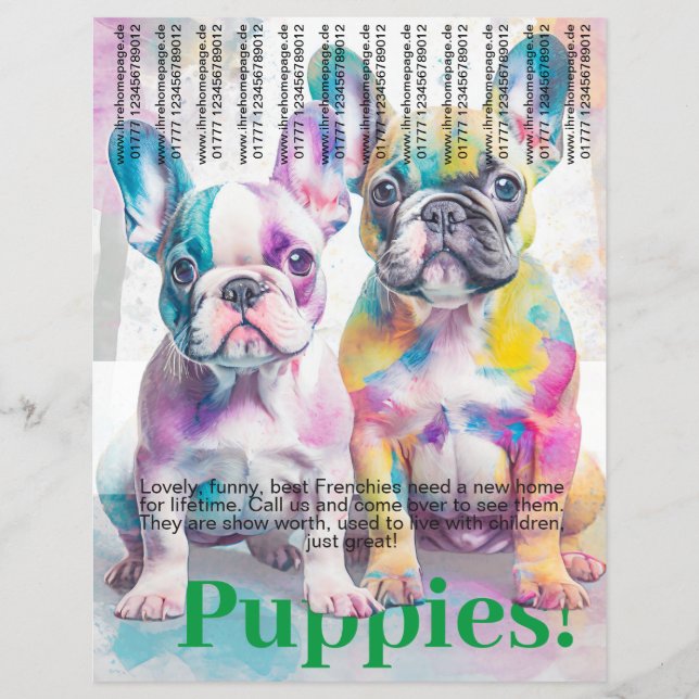 Französische Bulldogge Welpen Flyer  (Vorne)