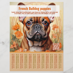 Französische Bulldogge-Welpenflyer Flyer