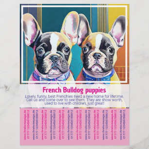 Französische Bulldogge-Welpenflyer Flyer
