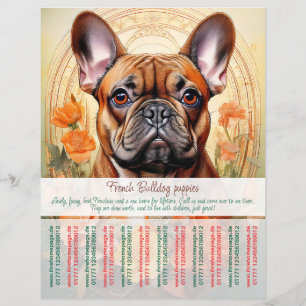 Französische Bulldogge-Welpenflyer  Flyer