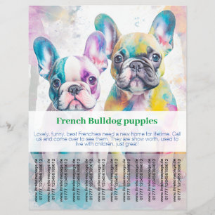 Französische Bulldogge-Welpenflyer  Flyer