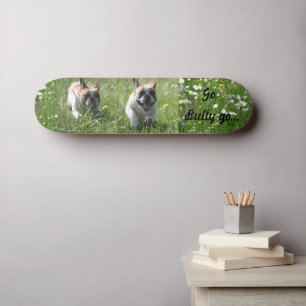 Französische Bulldogge Wettrennen French Bulldog Skateboard
