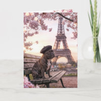 Französische Bulldogge zum Geburtstag in Paris