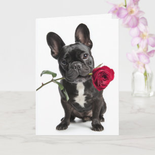 Französische Bulldogge zum Valentinstag – Große Li Karte