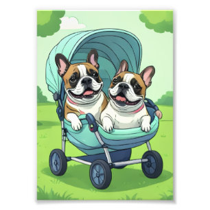 Französische Bulldogge Zwillinge Fotodruck