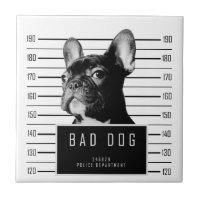 Französische Bulldoggemugshot-Shirt