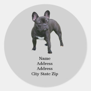 Französische Bulldoggen-Adressen-Etikett Runder Aufkleber