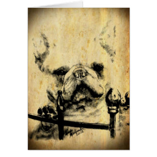 Französische Bulldoggen-alte Zeit