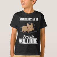 Französische Bulldoggen-Anatomie-lustiger Hund