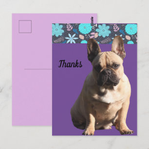 französische Bulldoggen Dankeschön French Bulldog Postkarte