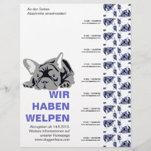 Französische Bulldoggen Flyer