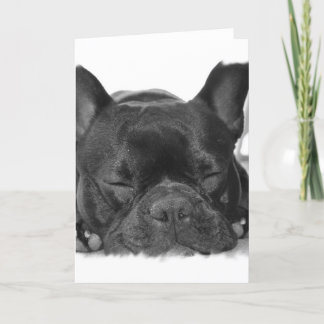 Französische Bulldoggen-Gruß-Karte Karte